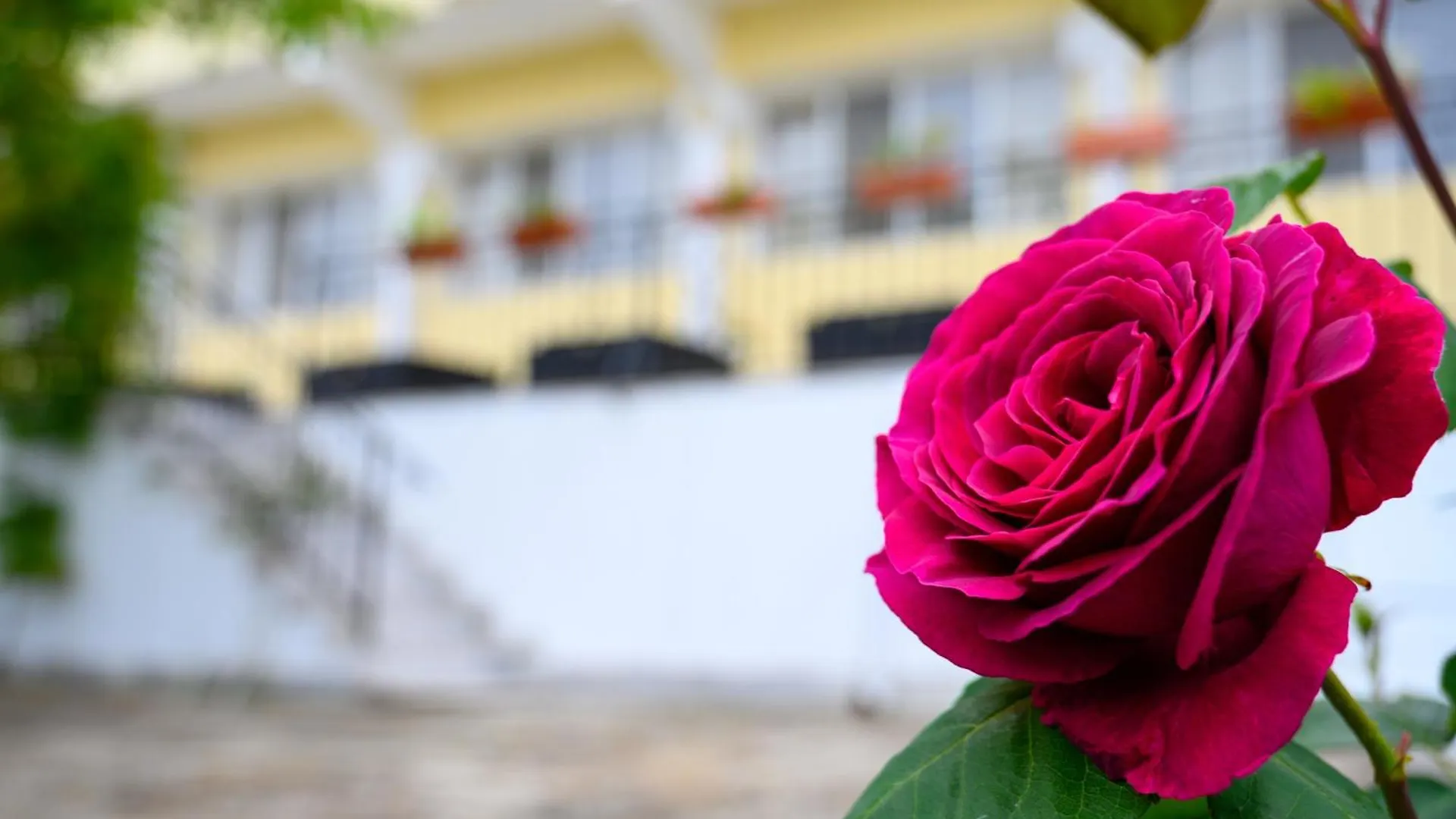 Effect Saint Mina Hotel Sozopol Bulgarije